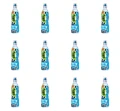 image-editor%2Fmultipack%2F1777032554718-r2055-c1-x12.png