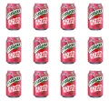 image-editor%2Fmultipack%2F1777032556645-r2057-c1-x12.png