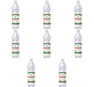 Muszynianka Plus Naturalna woda mineralna częściowo odgazowana, wysokozmineralizowana , niskonasycona CO2 0,6 l X8