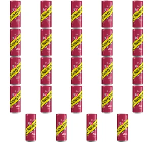 Schweppes Wild Berry 0,33L X24