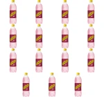 Schweppes Wild Berry 0,85l X15