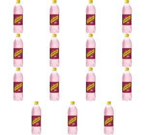 Schweppes Wild Berry 0,85l X15