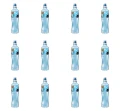 image-editor%2Fmultipack%2F1777032900992-r2441-c1-x12.png
