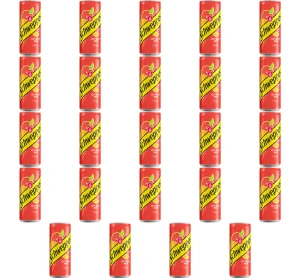 Schweppes Citrus Mix 0,33l X24