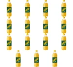 Schweppes Ginger Ale 0,85l X15