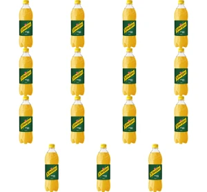 Schweppes Ginger Ale 0,85l X15