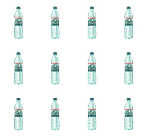 Rodowita z Roztocza Naturalna woda mineralna gazowana 0,6L X12