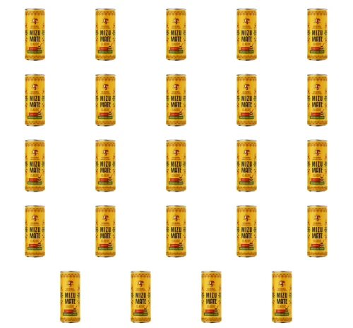 image-editor%2Fmultipack%2F1777034769386-r4195-c1-x24.png