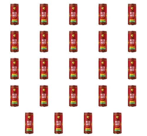 image-editor%2Fmultipack%2F1777034778867-r4206-c1-x24.png