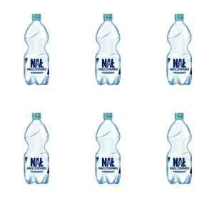 Nałęczowianka Naturalna woda mineralna delikatnie gazowana 1 l X6
