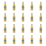 'Garage S** on the Beach Maracuja&Chili 4,5% butelka bezzwrotna 400 ml X20