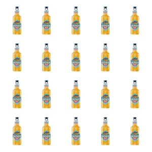 'Garage S** on the Beach Maracuja&Chili 4,5% butelka bezzwrotna 400 ml X20