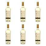 'Panul Sauvignon Blanc Oak Aged Reserva Białe Wytrawne 750 ml X6