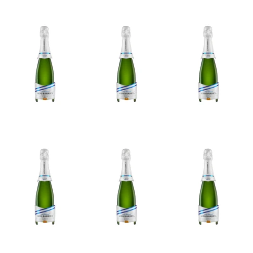 1773270459436-4343-2-x6-lsr13s.png