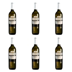 'BADAGONI Alazani Valley white semi sweet 750 ML X6