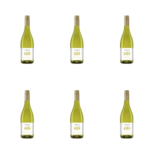 'Artellio Pinot Grigio 0,75l X6
