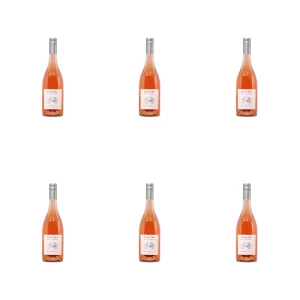 'Cono Sur Bicicleta Pinot Noir Rose Wino Różowe Wytrawne 13% 750 ml X6