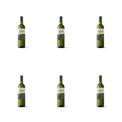 1773270511656-4417-2-x6-zdeos.png