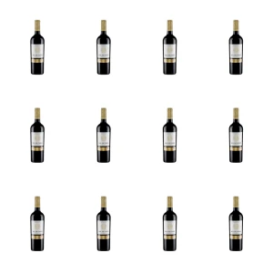 'Sol de Chile Reserva Cabarnet Sauvignon 0,75l X12