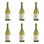 'Organic Sauvignon Blanc Cono Sur Białe Wytrawne 750 ml X6