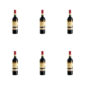 'KAZAYAK PINOT NOIR 750 ML X6