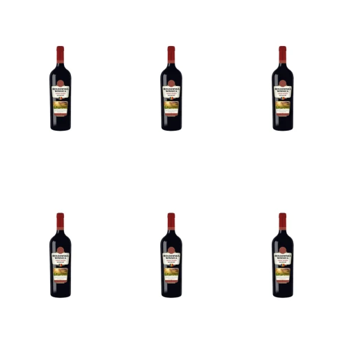 1773270535923-4449-2-x6-c6orsa.png