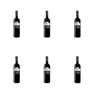 'BADAGONI Saperavi red dry 13 % 750 ML X6