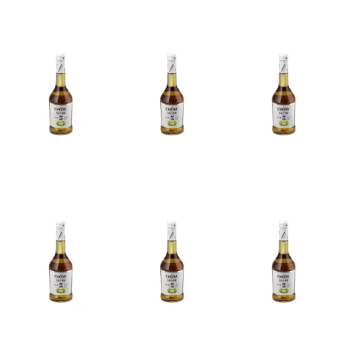 1773270574578-4483-2-x6-vagzk.png