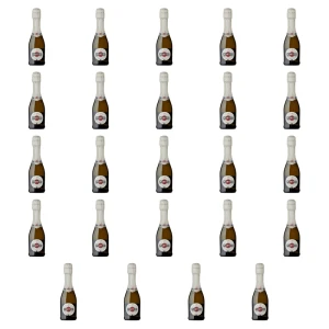 'Martini Asti 200ml 7,5% X24