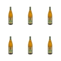 1773271012672-5098-2-x6-byjmtt.png