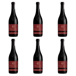 'Passiamo Appassimento czerwone półwytrawne 750 ml X6
