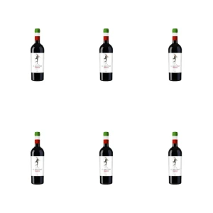 'Il Maestro Primitivo 750ML czerwone wytrawne X6