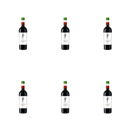 1773271021892-5107-2-x6-twyuq8.png