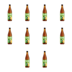 'Piwo PINTA A ja pale ale butelka bezzwrotna 0,5L X10