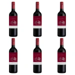 'Cono Sur Cabernet Sauvignon Czerwone Wytrawne 750 ml X6