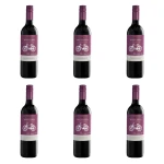 'Cono Sur Carmenere Czerwone Wytrawne 750 ml X6