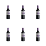 'Cono Sur Bicicleta Merlot Czerwone Wytrawne 750 ml X6