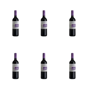 'Cono Sur Bicicleta Merlot Czerwone Wytrawne 750 ml X6