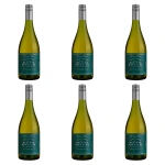 'Cono Sur Reserva Especial Sauvignon Blanc Białe Wytrawne 750 ml X6