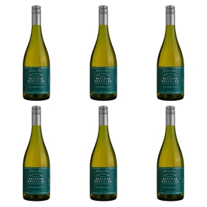 'Cono Sur Reserva Especial Sauvignon Blanc Białe Wytrawne 750 ml X6