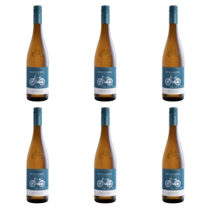 'Cono Sur Bicicleta Riesling Białe Wytrawne 750 ml X6