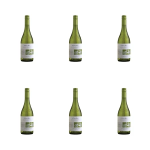 'Cono Sur Bicicleta Sauvignon Blanc Białe Wytrawne 750 ml X6