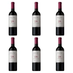 'Cono Sur Single Vineyard czerwone wytrawne 750 ml X6