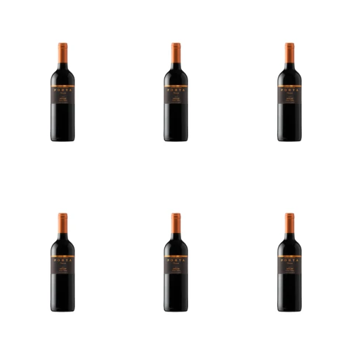 1773271107934-5231-2-x6-nkduyi.png