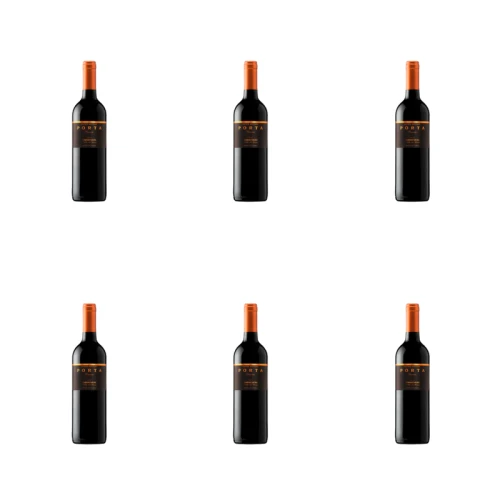 1773271108765-5233-2-x6-v5x5z.png