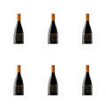 1773271109746-5235-2-x6-ctp2hn.png