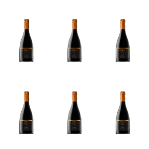 'PORTA Reserva Syrah red dry 750 ML X6