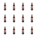 1773271155296-5290-2-x12-ov2o5s.png