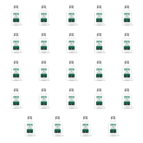 1773271189722-5344-2-x24-ras56.png
