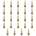1773271197616-5356-2-x24-fzmuy.png